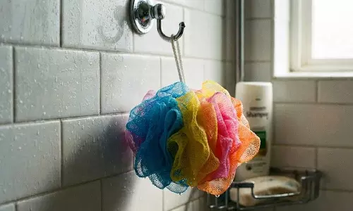 ബാത്റൂമിലെ ബോഡി സ്ക്രബര്‍ മാറ്റിയിട്ട് മാസങ്ങളായോ?;സൂക്ഷിച്ചോളൂ, ചര്‍മ്മ രോഗങ്ങള്‍ പിന്നാലെയുണ്ട്...