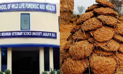 കാൻസർ ചികിത്സയ്ക്കായി ചാണകവും ഗോമൂത്രവും; ഗവേഷണത്തിനായി സർക്കാർ അനുവദിച്ച തുകയിൽ കോടികളുടെ അഴിമതി