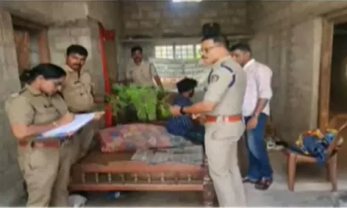 പുതുപൊന്നാനിയിൽ വീട്ടിൽ കഞ്ചാവ് വളർത്തിയ യുവാവ് പിടിയിൽ