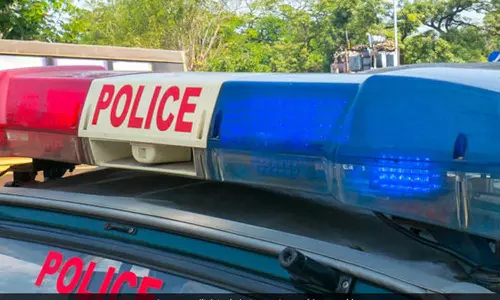 പാലായിൽ വൈദികനെ ഇടിച്ച ശേഷം നിർത്താതെ പോയ കാറും ഉടമയും കസ്റ്റഡിയിൽ