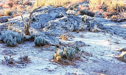 UAE enters Al Shabt, cold weather to increase