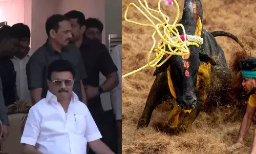 ജല്ലിക്കെട്ടിൽ വിജയിക്കുന്നവർക്ക്  മൃഗസംരക്ഷണ വകുപ്പിൽ ജോലിനൽകും: എം. കെ സ്റ്റാലിൻ