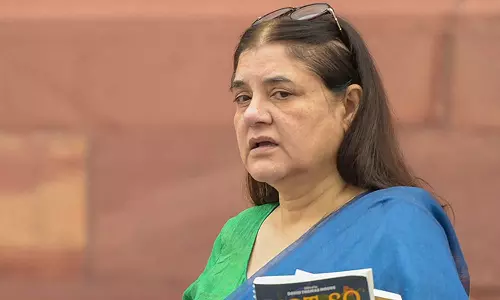 Supreme Court raps Maneka Gandhi in stray dogs case