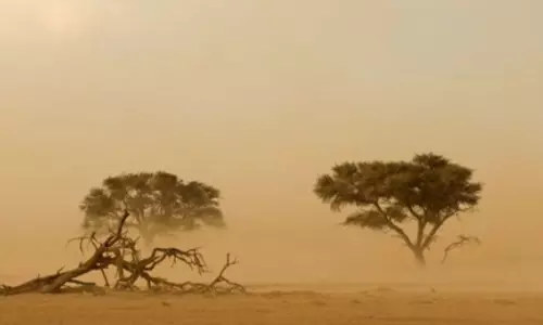 Dust storms possible in various parts of Oman: Meteorological Department