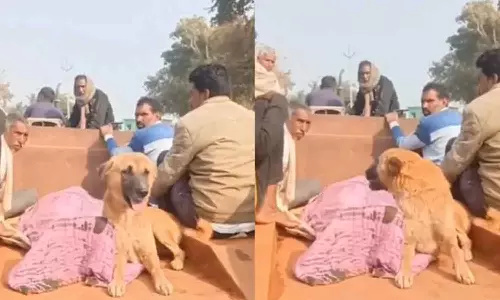 ചിതയിലെ കനലണയും വരെ അവിടെത്തന്നെയിരുന്നു; കണ്ടു നിന്നവരുടെ കണ്ണ് നിറക്കും ഇവരുടെ സ്‌നേഹം