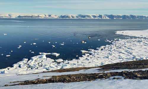 ഭൂമിയിലെ എല്ലാ മഞ്ഞുപാളികളും ഉരുകിയാൽ എന്ത് സംഭവിക്കും! ഇന്ത്യൻ നഗരങ്ങളെ ബാധിക്കുമോ? ഭൂമിയിലെ എല്ലാ മഞ്ഞുപാളികളും ഉരുകിയാൽ എന്ത് സംഭവിക്കും! ഇന്ത്യൻ നഗരങ്ങളെ ബാധിക്കുമോ?