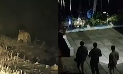 വീണ്ടും പുലിഭീതി; വയനാട്ടില്‍ ജനവാസമേഖലയില്‍ മൂന്നിടത്ത് പുലിയിറങ്ങി