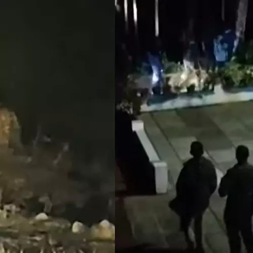 വീണ്ടും പുലിഭീതി; വയനാട്ടില്‍ ജനവാസമേഖലയില്‍ മൂന്നിടത്ത് പുലിയിറങ്ങി