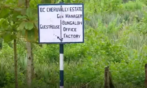 ശബരിമല വിമാനത്താവളം; ഭൂമിയേറ്റെടുത്ത വിജ്ഞാപനം റദ്ദാക്കിയ ഹൈക്കോടതി സിംഗിള്‍ ബെഞ്ച് വിധിക്കെതിരെ അപ്പീല്‍ നല്‍കി സര്‍ക്കാര്‍