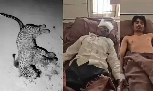 മകന്റെ ജീവൻ രക്ഷിക്കാൻ പുലിയെ കൊന്നു; കേസെടുത്ത് വനം വകുപ്പ്