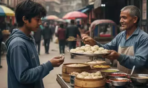 മോമോസ് ലഹരിയായി; 85 ലക്ഷത്തിന്റെ സ്വർണം മോഷ്ടിച്ച് കൗമാരക്കാരൻ