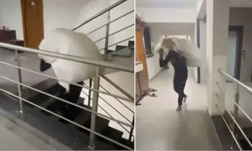 തന്നേക്കാൾ ഭാരമുള്ള കൂറ്റന് പാഴ്സലും ചുമലിലേറ്റി ആറാം നിലയിലേക്ക് നടന്നുകയറുന്ന ഡെലിവറി ഏജന്റ്; കുറച്ച് മനുഷ്യത്വം കാട്ടൂവെന്ന് സോഷ്യൽമീഡിയ തന്നേക്കാൾ ഭാരമുള്ള കൂറ്റന് പാഴ്സലും ചുമലിലേറ്റി ആറാം നിലയിലേക്ക് നടന്നുകയറുന്ന ഡെലിവറി ഏജന്റ്; കുറച്ച് മനുഷ്യത്വം കാട്ടൂവെന്ന് സോഷ്യൽമീഡിയ