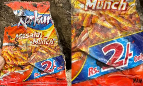 പാം ഓയിലില്ല, വില വെറും രണ്ട് രൂപ; വൈറലായി വിന്റേജ് കുർകുറെ പാക്കറ്റ്