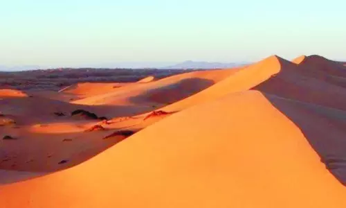 Oman CDAA urges families to be cautious on desert and camping trips Oman CDAA urges families to be cautious on desert and camping trips