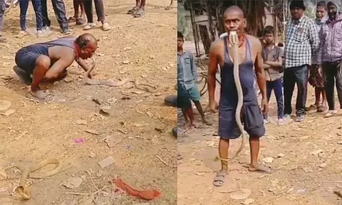 Man Uses Mouth for Catch Snake