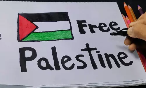 Two British nationals told to leave India for Free Palestine posters in Rajasthan