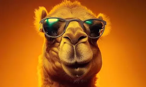 Saudi Arabia to issue camel passports