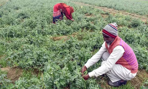കേന്ദ്ര സർക്കാറിന്റെ കോർപ്പറേറ്റ് പ്രീണനം; 11 വർഷത്തിനിടെ എഴുതി തള്ളിയത് 9.87 ലക്ഷം കോടിയുടെ വായ്പ