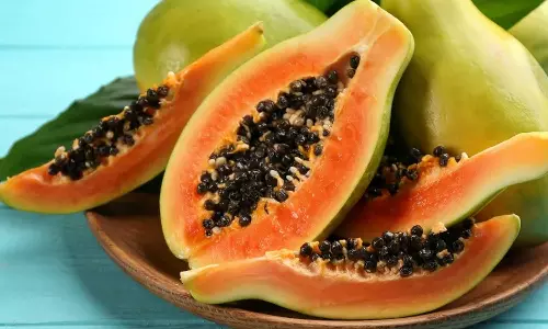 ദിവസവും പപ്പായ കഴിച്ചാൽ എന്ത് സംഭവിക്കും?
