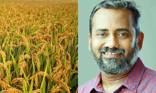 ഉപ്പുവെള്ളം കയറി നശിച്ച നെല്ല് സംഭരിക്കും: മന്ത്രി പി.പ്രസാദ്