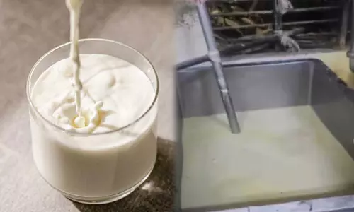 ഡിറ്റർജന്റ്, യൂറിയ...; ഗ്രാമവാസികൾ അഞ്ചുവർഷമായി കുടിച്ചത് രാസവസ്തുക്കൾ ചേർത്ത പാൽ; ഒടുവിൽ ഫാക്ടറിക്ക് പൂട്ടിട്ട് ഉദ്യോഗസ്ഥർ