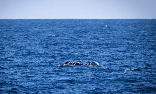 ലിബിയയിൽ അഭയാർഥികൾ സഞ്ചരിച്ച ബോട്ട് മുങ്ങി; രണ്ട് കുഞ്ഞുങ്ങൾ ഉൾപ്പെടെ 53 പേരെ കടലിൽ കാണാതായി