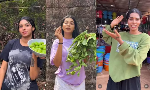 സോഷ്യൽമീഡിയ ഇൻഫ്ലുവൻസർ ജീവനൊടുക്കിയ സംഭവം; ആൺസുഹൃത്ത് കസ്റ്റഡിയിൽ