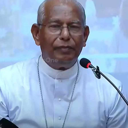 ബിഷപ്പ് ആൻഡ്രൂസ് താഴത്തിന്‍റെ വിവാദ പ്രസ്താവന; അനുകൂലിച്ച് കത്തോലിക്ക സഭ