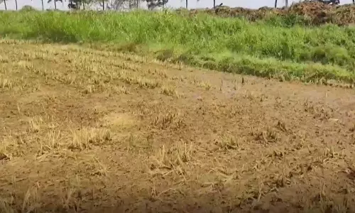 പാടശേഖരത്തിലേക്ക് വെള്ളം ലഭിക്കുന്നില്ല;  പ്രതിസന്ധിയിലായി തൃശൂർ ജില്ലയിലെ നെൽകർഷകർ