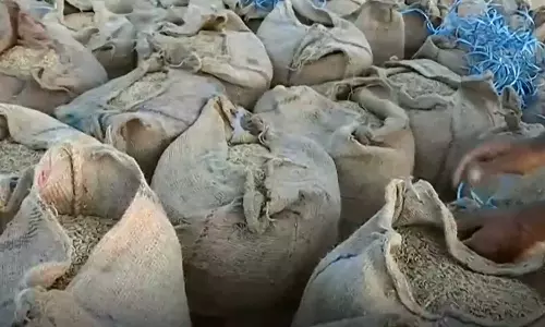 കിട്ടാനുള്ളത് രണ്ട് മാസത്തെ കുടുശ്ശിക; നൂൽപുഴയിൽ  നെല്‍ കർഷകർ പ്രതിസന്ധിയിൽ