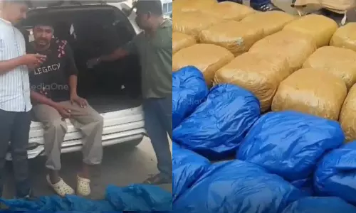 തിരുവനന്തപുരത്ത്  വൻ ലഹരി വേട്ട; 100 കിലോ കഞ്ചാവ് പിടികൂടി