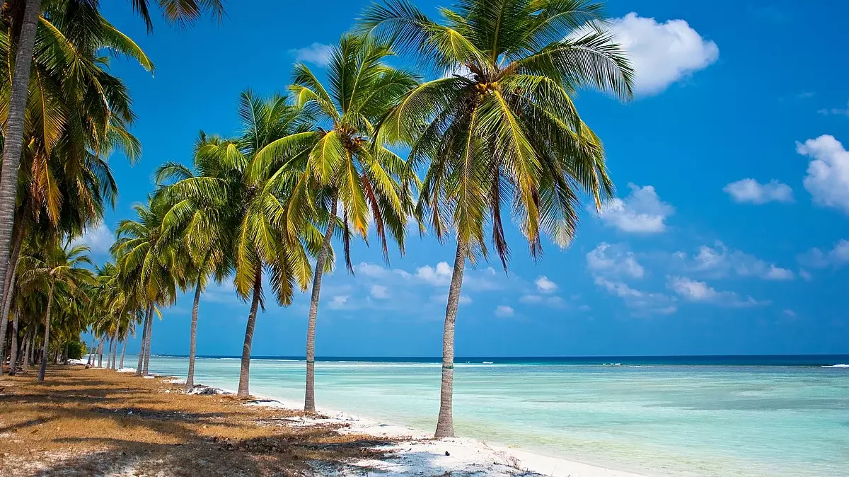 ലക്ഷദ്വീപിലെ വാഹന നിയന്ത്രണ ഉത്തരവ്;  റമദാൻ കഴിയുന്നത് വരെ നടപ്പാക്കില്ലെന്ന്  ഭരണകൂടം