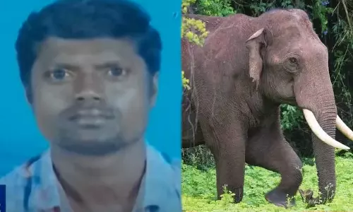 ആറളത്ത് കാട്ടാന ആക്രമണത്തില്‍ യുവാവ് മരിച്ചു