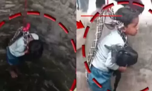 40 അടി താഴ്ചയുള്ള കിണറ്റിൽ വീണ ആടിനെ രക്ഷിക്കാൻ കുട്ടിയെ തുണിയിൽ കെട്ടിയിറക്കി; വീഡിയോ വൈറലായതിന് പിന്നാലെ വിമർശനം