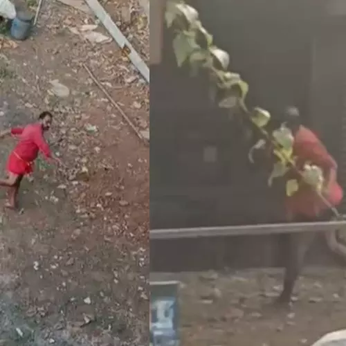 സ്റ്റുഡിയോയും ബ്യുട്ടി പാർലറും എറിഞ്ഞു തകർത്തു; കോഴിക്കോട്ട് മദ്യലഹരിയിൽ യുവാവിന്റെ പരാക്രമം