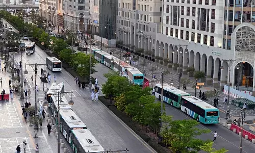 Investment opportunity to operate a tourist bus system in the city