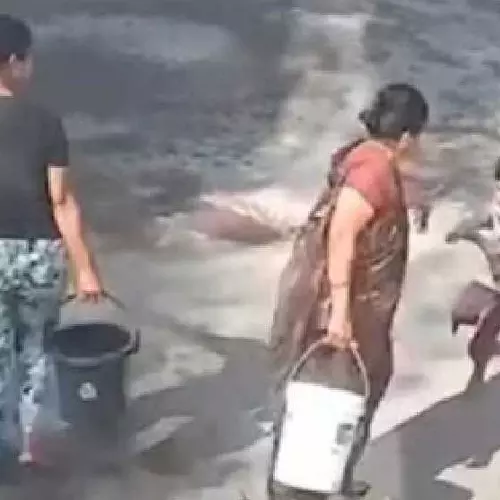 ഹോളി ആഘോഷത്തിനിടെ ദേഹത്ത് കളർ വിതറി; പേരക്കുട്ടിക്ക് നേരെ തിളച്ച വെള്ളമൊഴിച്ച് മുത്തശ്ശി