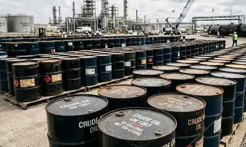 India buys 30 million barrels of Russian oil