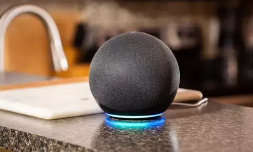 നാലുവയസുകാരിയോട് എന്താണ് ധരിച്ചതെന്ന് അലക്സയുടെ ചോദ്യം; ഭയപ്പെടുത്തുന്ന വെളിപ്പെടുത്തലുമായി മാതാവ്