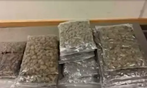 Asian woman arrested at Muscat Airport with 4.7kg of marijuana hidden in luggage