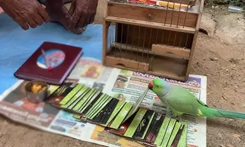 മുഖം നോക്കി ലക്ഷണം പറയാമെന്ന് കൈനോട്ടക്കാരൻ; സ്ഥാനക്കയറ്റം ആവശ്യപ്പെട്ട ഇന്‍കംടാക്‌സ് ഉദ്യോഗസ്ഥന് നഷ്‌ടമായത് 31 ലക്ഷം രൂപ