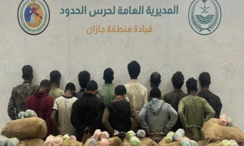 14 violators apprehended and 299 kilograms of hashish and khat smuggling thwarted