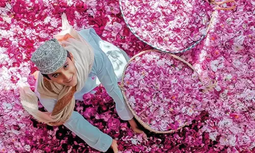 ജബൽ അൽ അഖ്ദർ റോസ് ഫെസ്റ്റിവൽ മാർച്ച് 30ന് ആരംഭിക്കും