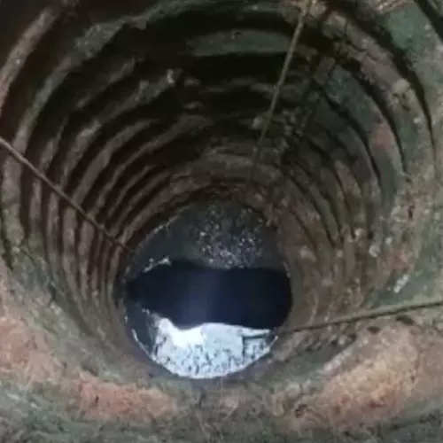 മലപ്പുറത്ത് കിണറിൽ വീണ ആടിനെ രക്ഷിക്കാൻ ഇറങ്ങിയ ഇതര സംസ്ഥാന തൊഴിലാളികൾ മരിച്ചു