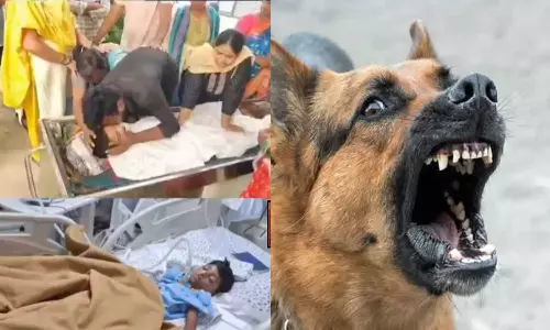 തെരുവുനായ കടിച്ചത് 15 മാസം മുമ്പ്, വാക്സിനെടുത്തിട്ടും രക്ഷയില്ല, ചികിത്സയ്ക്ക് ചെലവായത് 50 ലക്ഷം രൂപ;  എട്ട് വയസുകാരന് ദാരുണാന്ത്യം