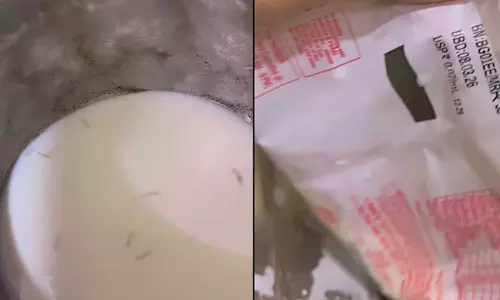 പാലിൽ പോലും എനിക്ക് വിശ്വാസം നഷ്ടപ്പെട്ടു: പാക്കറ്റ് പാലിൽ നിറയെ പുഴുക്കൾ, ഞെട്ടി വീട്ടുകാർ; ഒടുവിൽ പ്രതികരണവുമായി കമ്പിനി, വീഡിയോ വൈറൽ