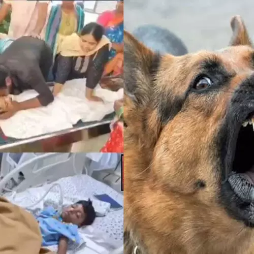 തെരുവുനായ കടിച്ചത് 15 മാസം മുമ്പ്, വാക്സിനെടുത്തിട്ടും രക്ഷയില്ല, ചികിത്സയ്ക്ക് ചെലവായത് 50 ലക്ഷം രൂപ;  എട്ട് വയസുകാരന് ദാരുണാന്ത്യം