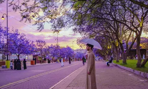 ശൈത്യത്തിന് വിട; സൗദിയിൽ വസന്തകാലത്തിന് തുടക്കമായി