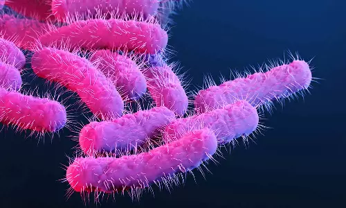 Shigella infection - Symptoms and causes