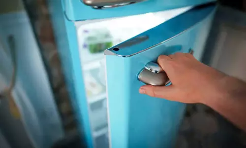 കൊടുങ്ങല്ലൂരില്‍ ഫ്ലാറ്റിലെ ഫ്രിഡ്ജില്‍ ഗര്‍ഭസ്ഥ ശിശുവിന്റെ മൃതദേഹം; അസ്വാഭാവിക മരണത്തിന് കേസെടുത്ത് പൊലീസ്